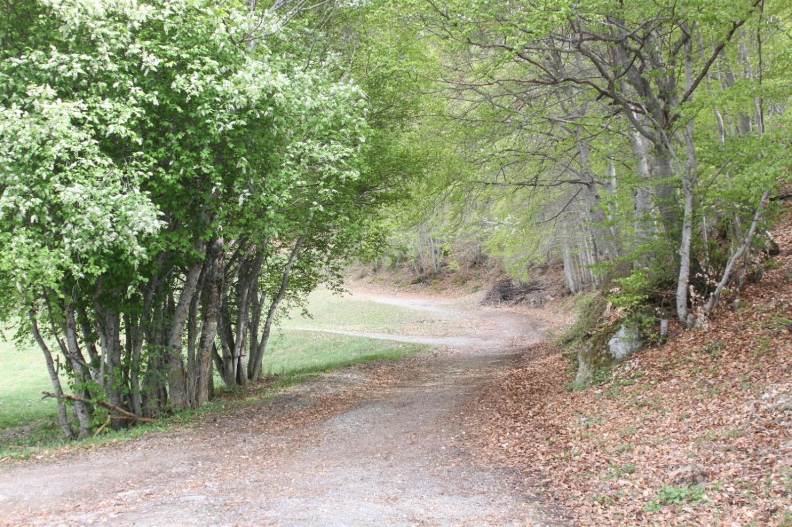 Les Gites De L'E.D.E. Saint-Leger-les-Melezes Extérieur photo